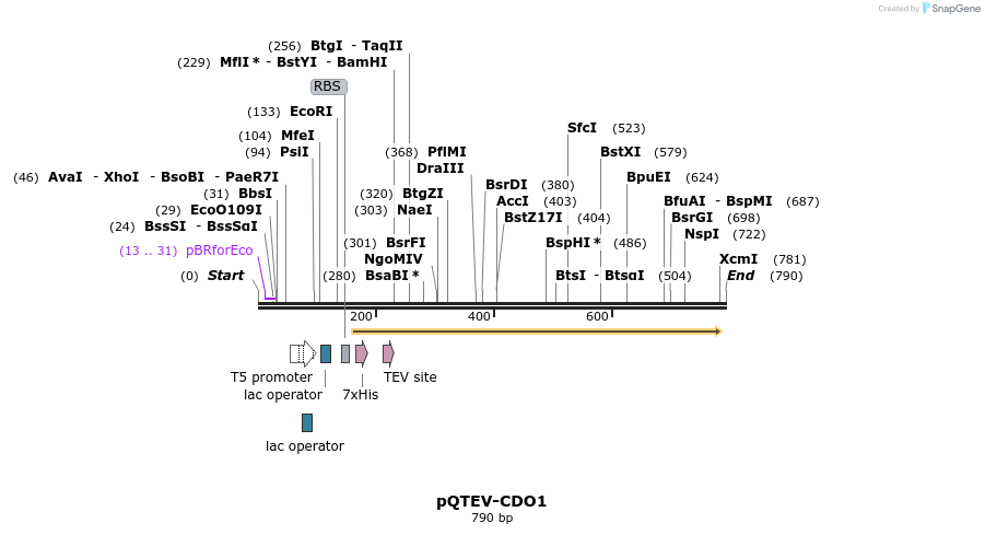 55835_map