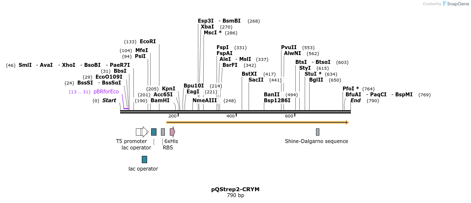 55836_map