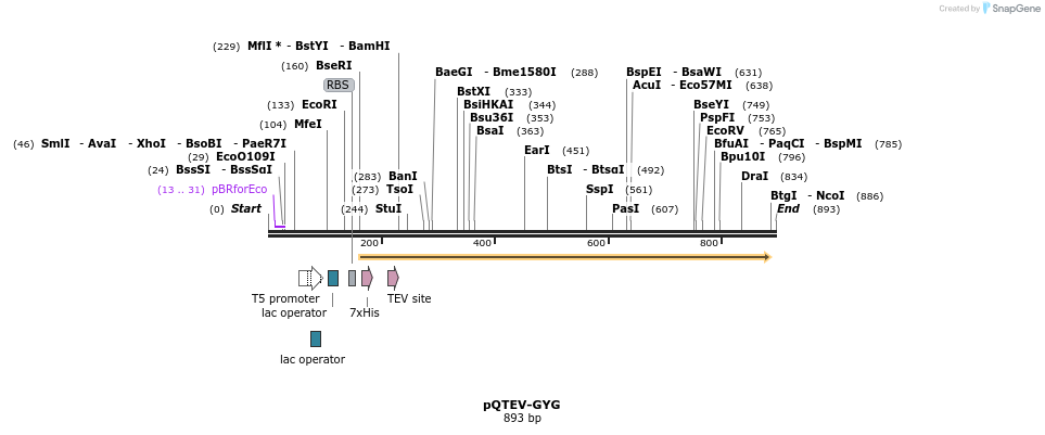 55837_map
