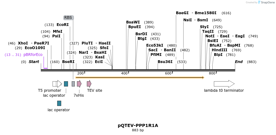 55838_map
