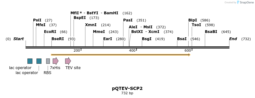 55840_map