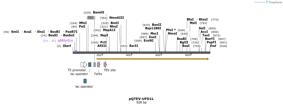 55842_map
