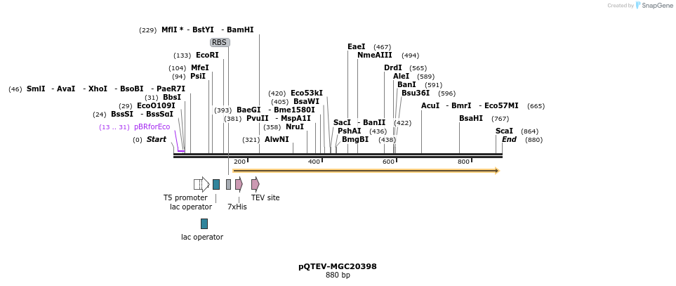 55855_map