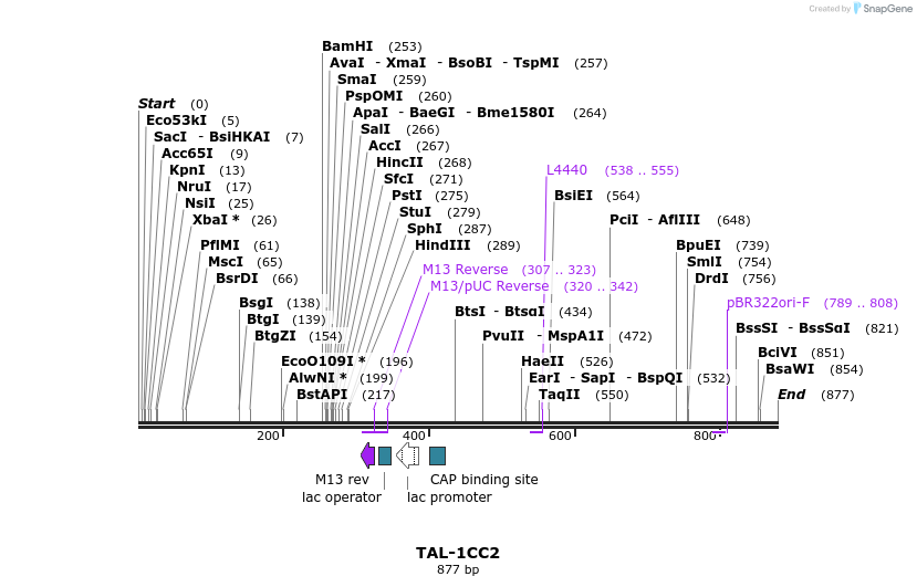 55866_map