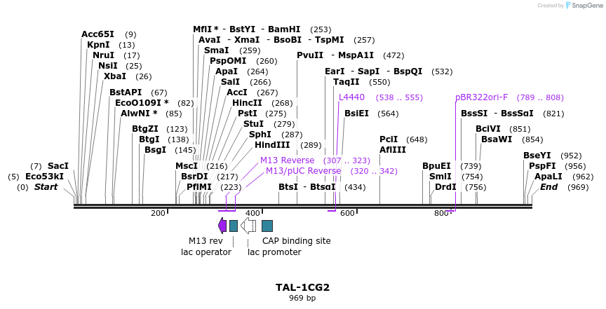 55867_map