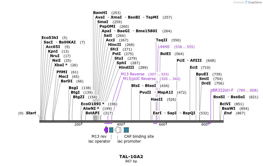 55869_map