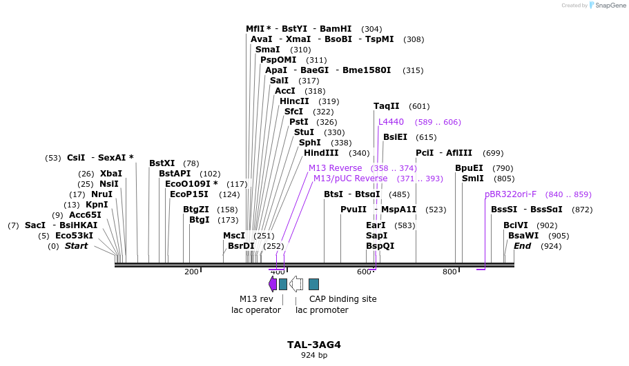 55878_map