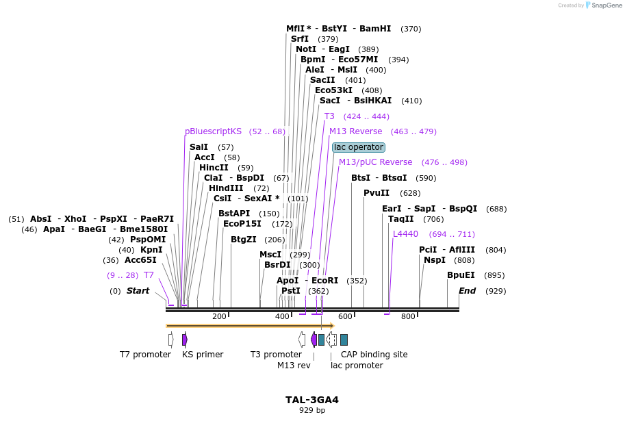 55884_map
