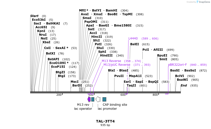 55891_map