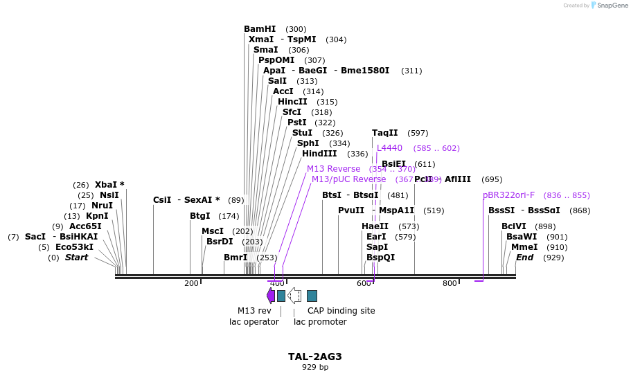 55901_map