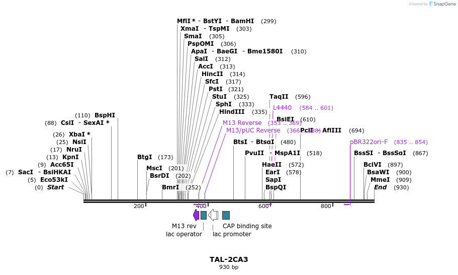55903_map