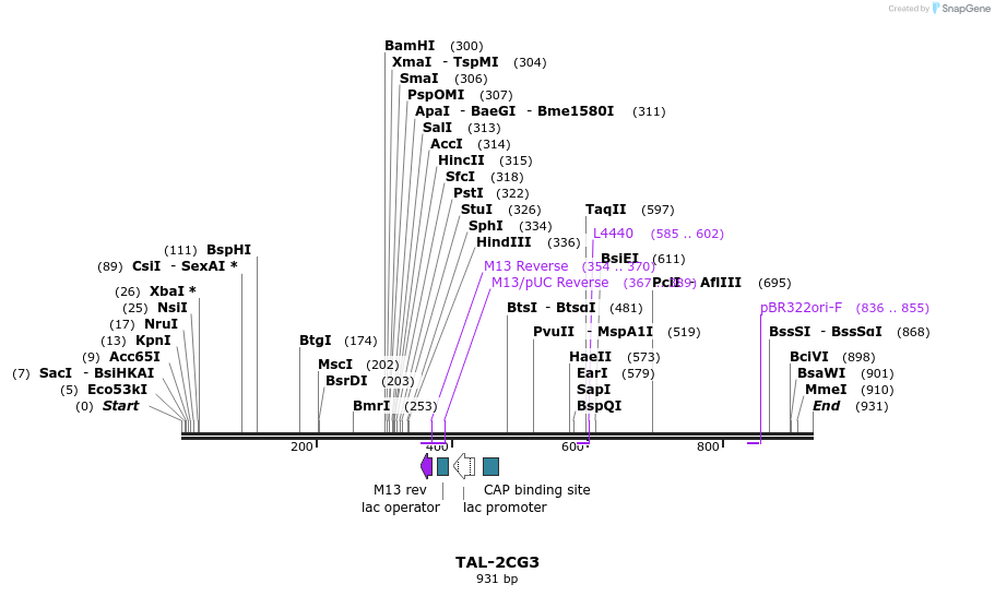 55905_map