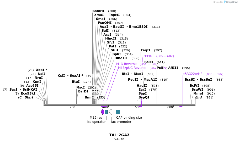 55907_map