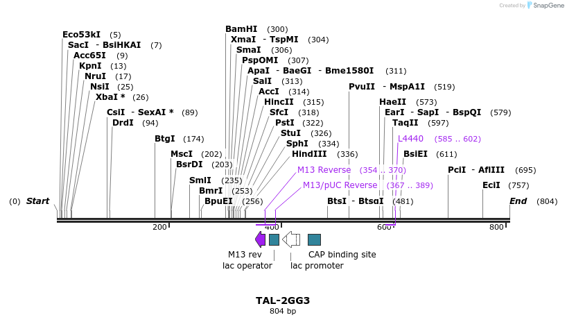 55909_map