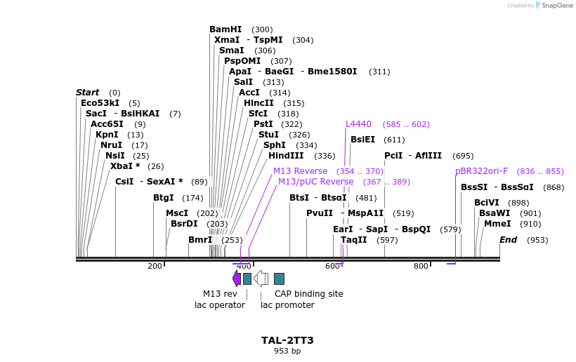 55914_map