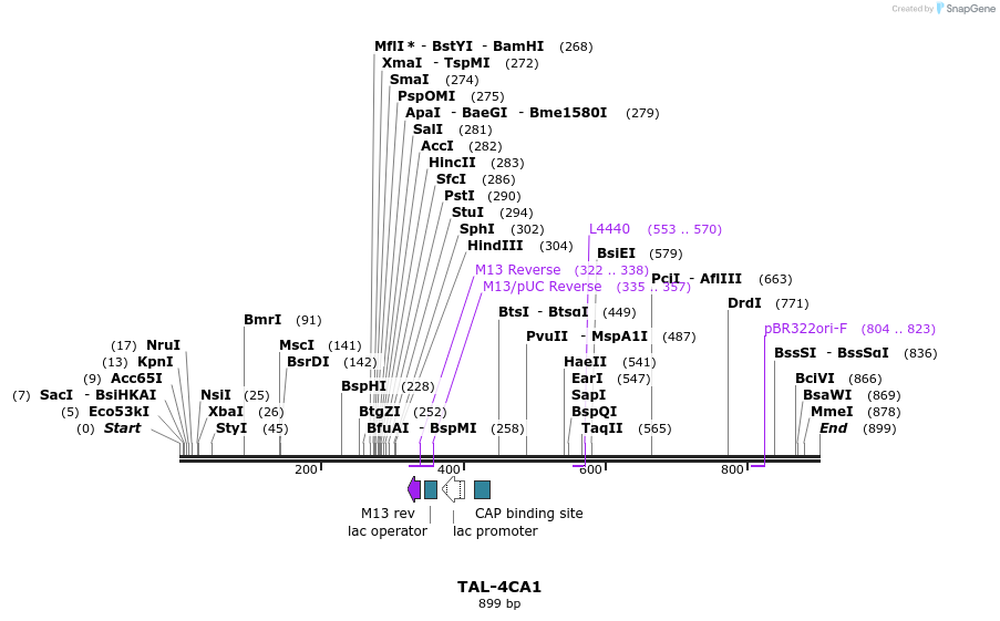55919_map