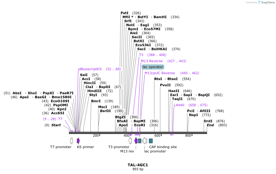 55924_map