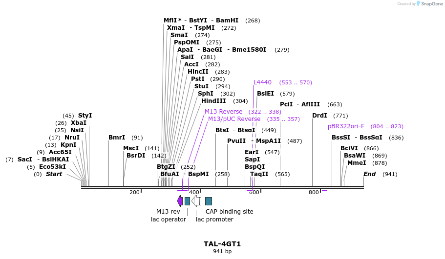 55926_map