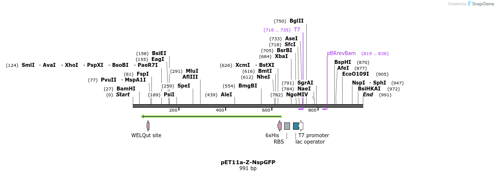 55942_map