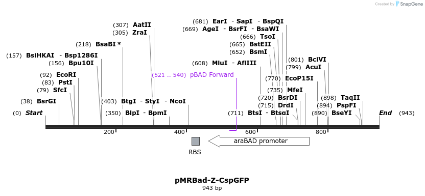 55943_map