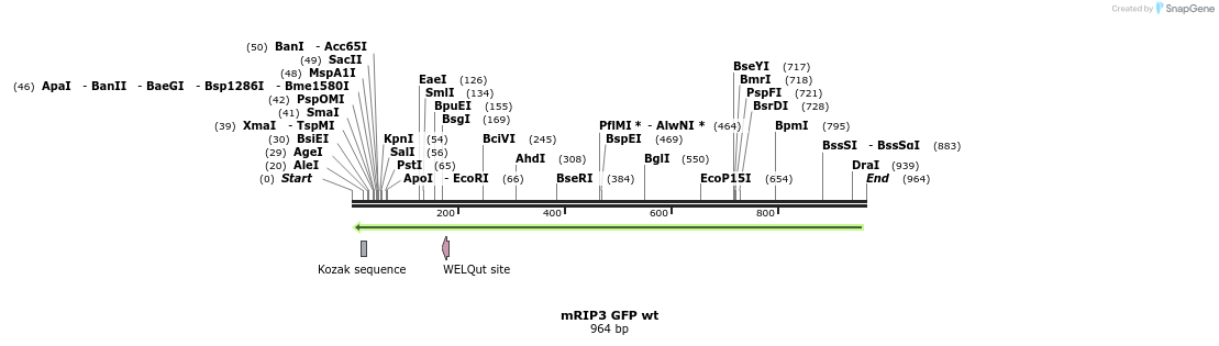 55949_map