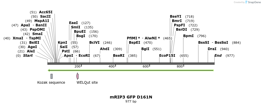 55950_map