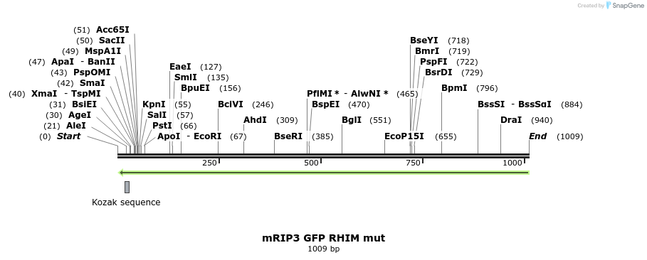 55952_map