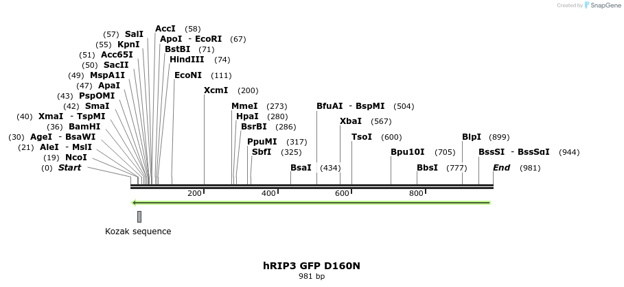 55957_map