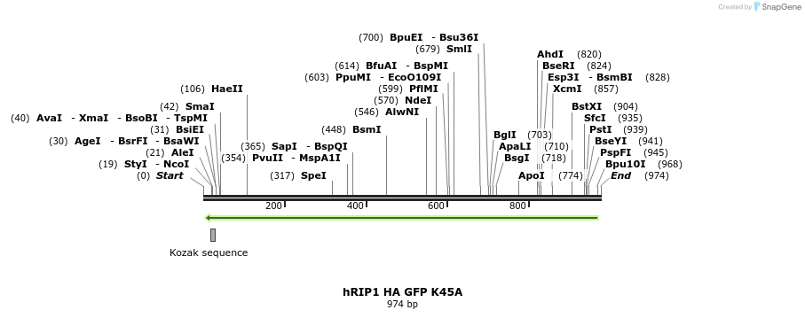 55964_map