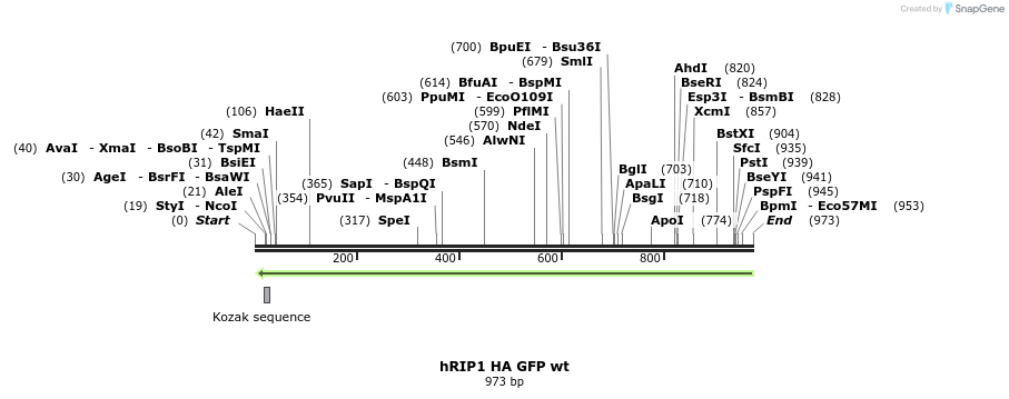 55967_map