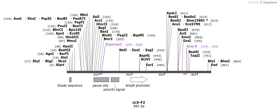 55972_map
