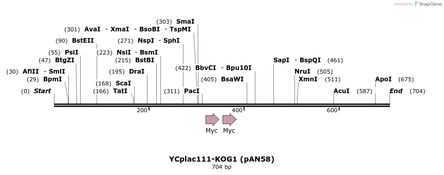55977_map