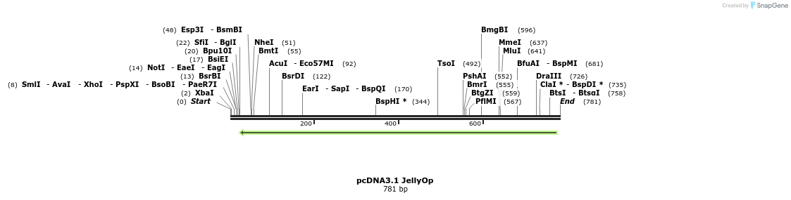 55980_map