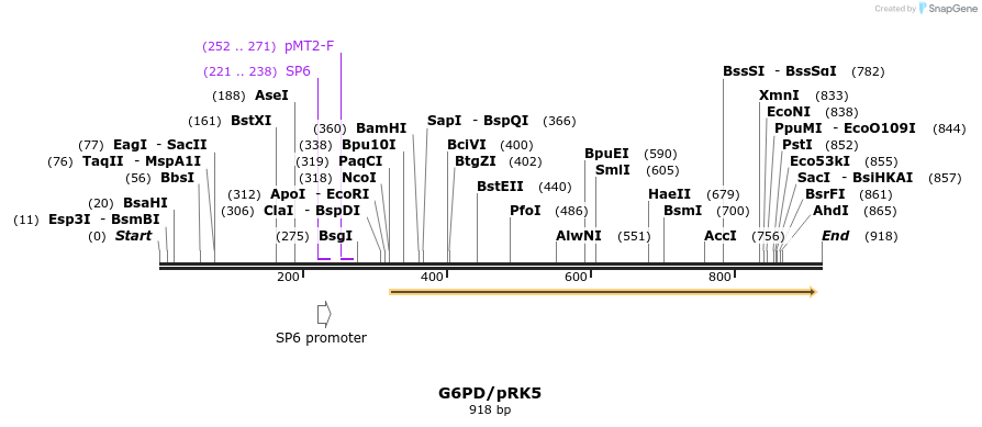 55981_map