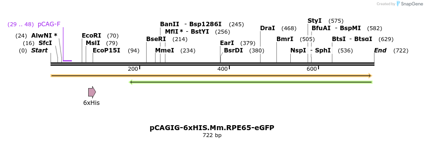 55985_map