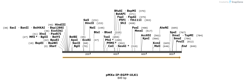 55986_map