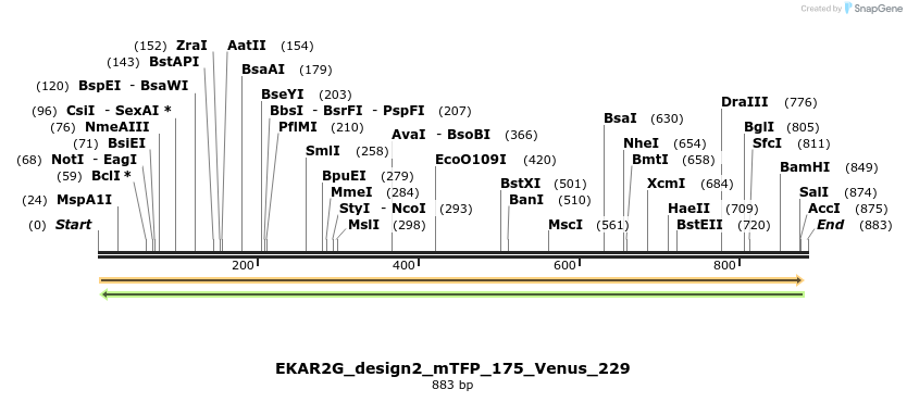 55989_map