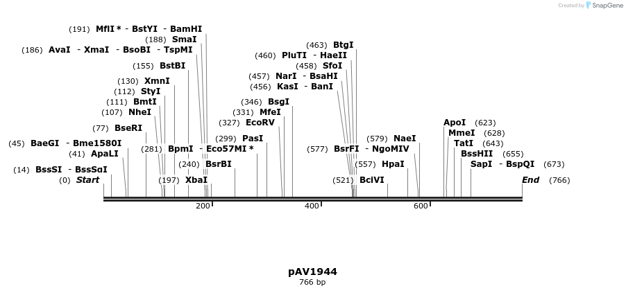 55990_map