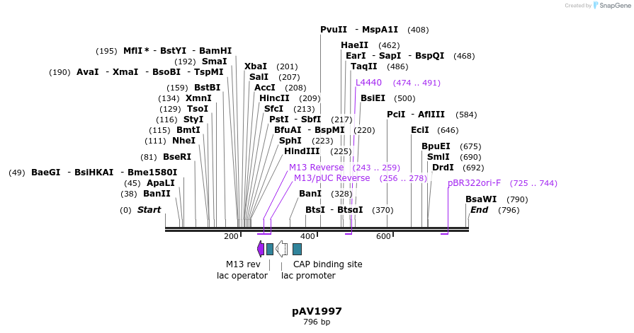 55991_map
