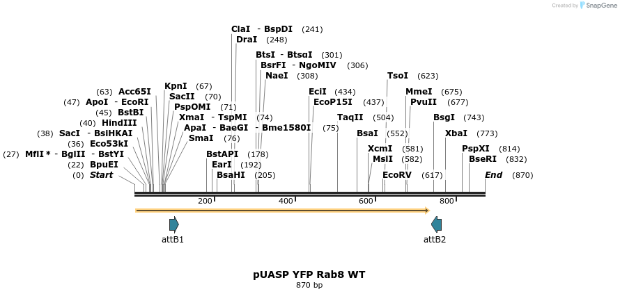 55993_map