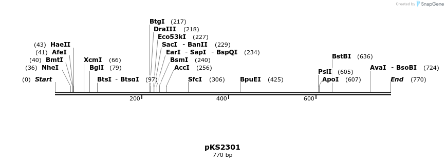 55994_map