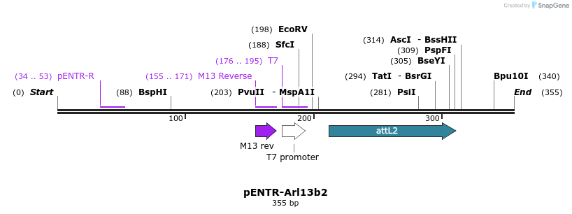 55996_map