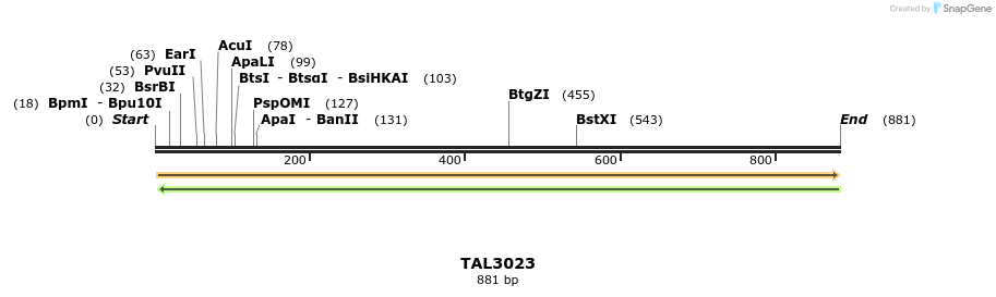 56002_map