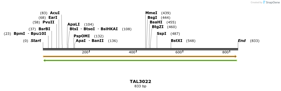 56003_map