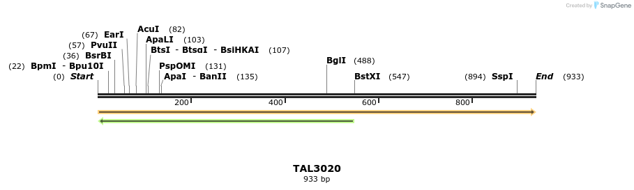 56008_map
