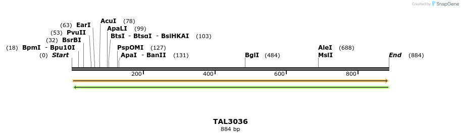 56012_map