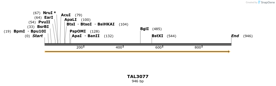 56013_map