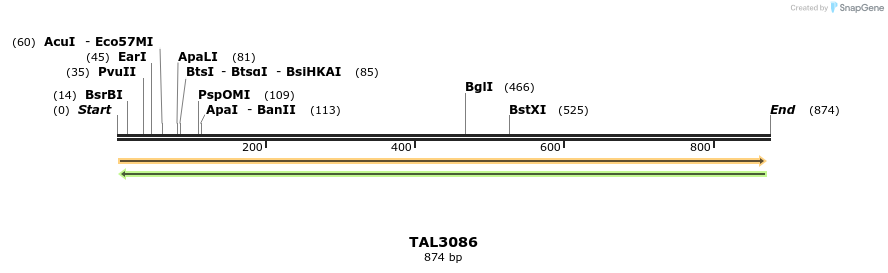 56014_map