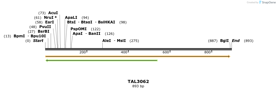 56015_map