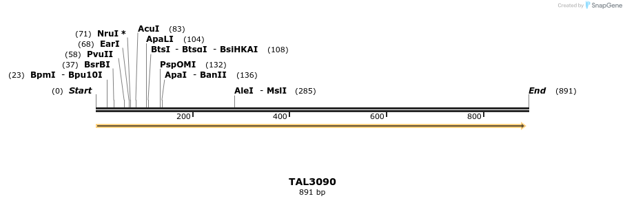 56021_map
